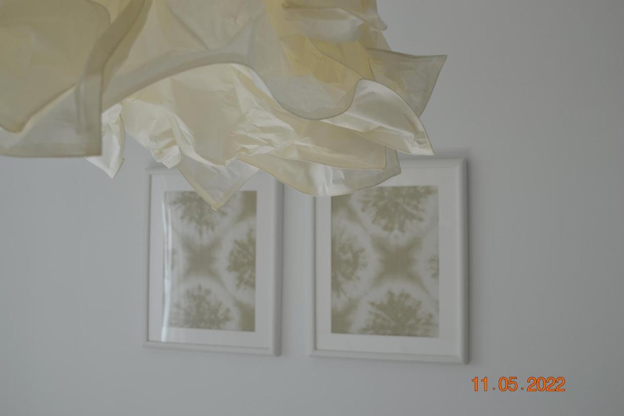 Ocean View Apartements Murine Umag Dış mekan fotoğraf